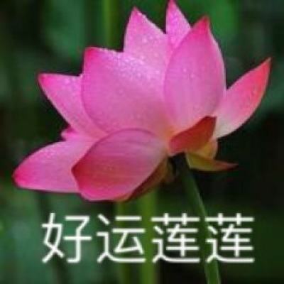 四川省第四次全国文物普查专家库在成都成立